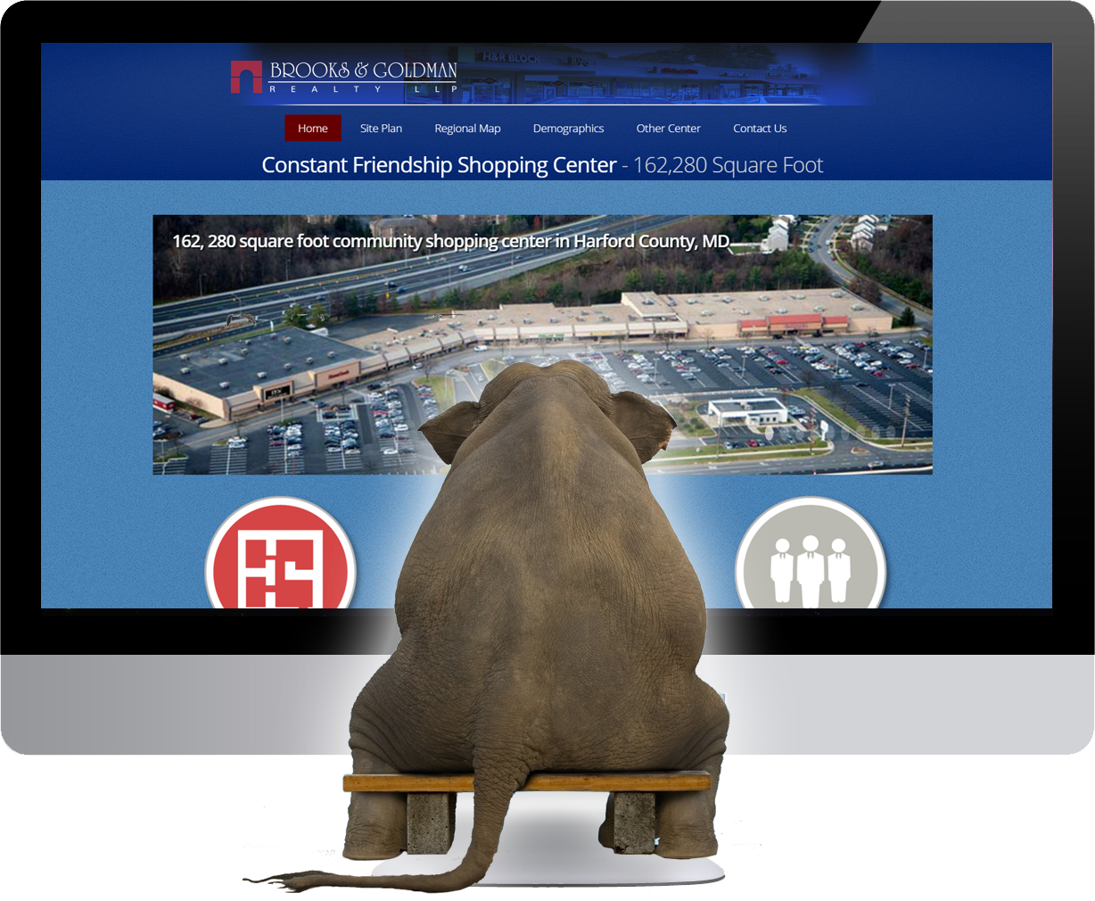 Search Engine Optimization (SEO)