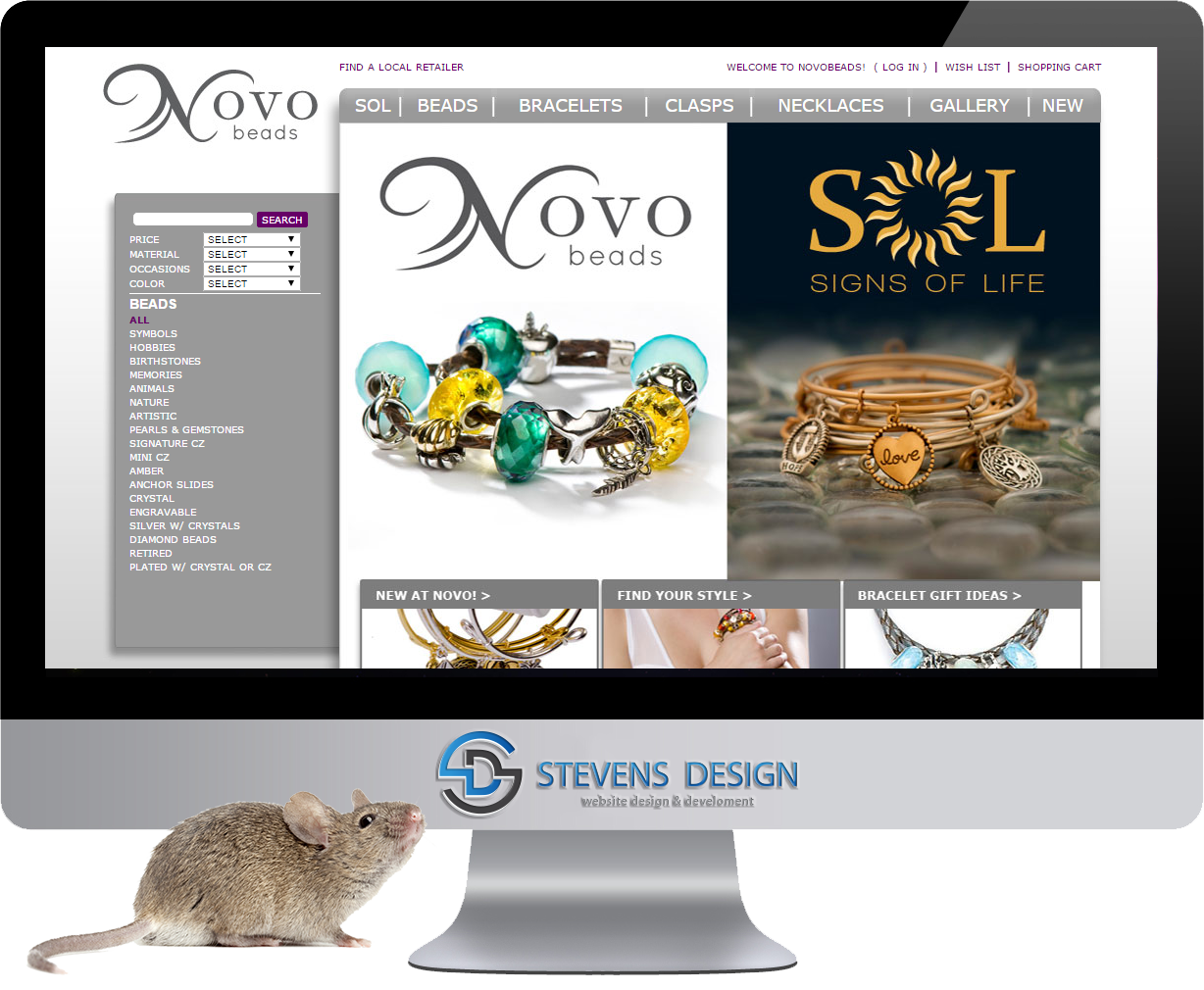 Search Engine Optimization (SEO)